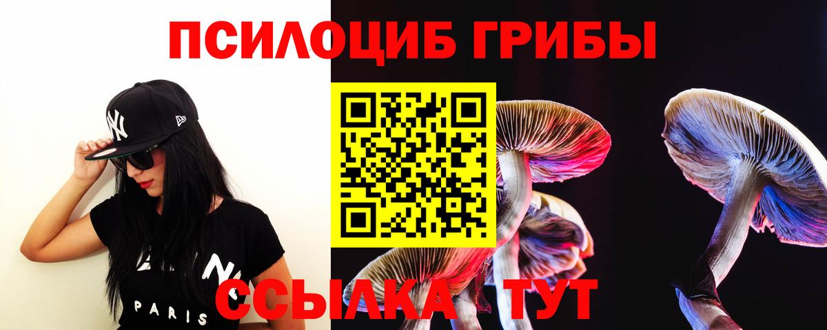 Галлюциногенные грибы ЛСД  купить наркотики сайты  Самара  Псилоцибиновые грибы MAGIC MUSHROOMS  Вход с VPN 